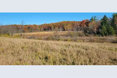 0 S Tripp Road, Osseo, MI 49266 - Photo 1
