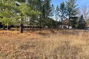 V/L Spring St, Wellston, MI 49689 - Photo 1
