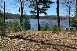 21249 Monroe Rd, Morley, MI 49336 - Photo 1