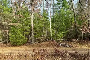 6034 S Jefferson, Baldwin, MI 49304 - Photo 1