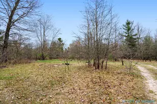 Vl Whitehall Rd, Whitehall, MI 49461 - Photo 1