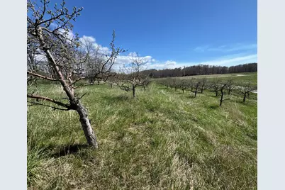 0 Pinot Place #Lot 17, Manistee, MI 49660 - Photo 1