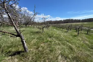 0 Pinot Pl, Manistee, MI 49660 - Photo 1