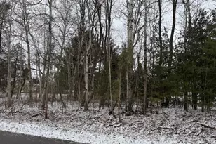 Vacant Lot 34 & 35 Maplewood Ave, Reed City, MI 49677 - Photo 1