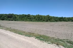 0003 118th St, Fennville, MI 49408 - Photo 1