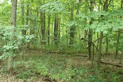 Lot 17 Ross Drive, Benton Harbor, MI 49022 - Photo 1