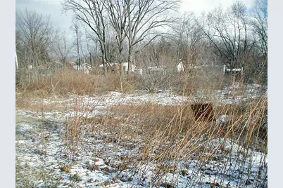 0 Red Arrow Highway, Stevensville, MI 49127 - Photo 1