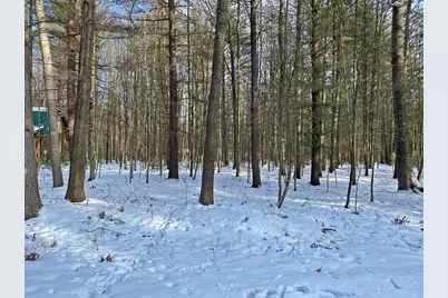 6790 Walnut Grove, Canadian Lakes, MI 49346 - Photo 1