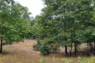 300 N 56th Ave, Mears, MI 49436 - Photo 1