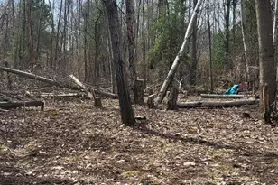 3049 N Dickinson Ave, Hesperia, MI 49421 - Photo 1