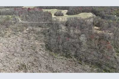 Chain Lake Street, Cassopolis, MI 49031 - Photo 1