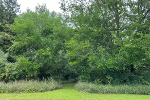 Lot 67 Bellflower Dr, Brooklyn, MI 49230 - Photo 1