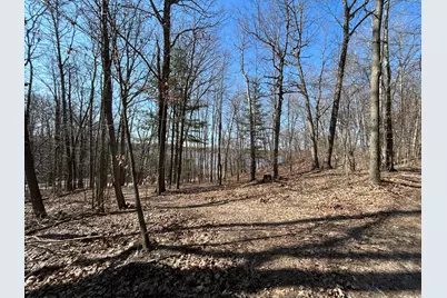 Hill View Drive, Six Lakes, MI 48886 - Photo 1