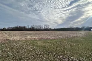 0 N Hillsdale Street N, Homer, MI 49245 - Photo 1