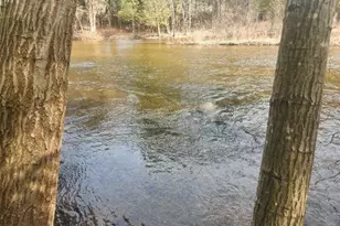 V/L N Meadowbrook Rd, White Cloud, MI 49349 - Photo 1