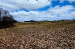Vl 600 W Buchanan, Shelby, MI 49455 - Photo 1