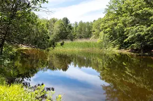 00 V/L 13 Mile Rd, Bitely, MI 49309 - Photo 1