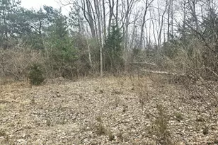 14th Ave, South Haven, MI 49090 - Photo 1