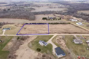 Parcel B Riggle Rd, Saranac, MI 48881 - Photo 1