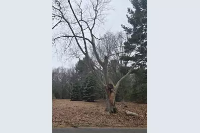 Vl Nestrom Road, Whitehall, MI 49461 - Photo 1