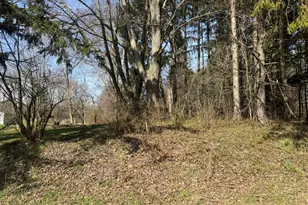 16802 Runyon Rd, Buchanan, MI 49107 - Photo 1