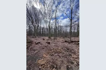 16688 Winans Street, West Olive, MI 49460 - Photo 1