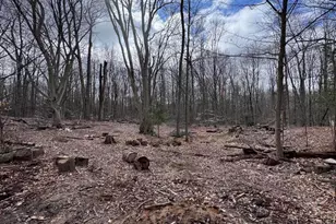 16688 Winans St, West Olive, MI 49460 - Photo 1