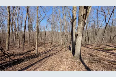 8289 52nd Street SE, Alto, MI 49302 - Photo 1