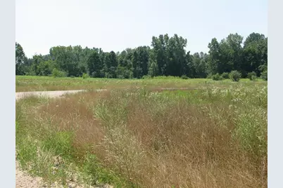 Unit 4 Jane Way, Sawyer, MI 49125 - Photo 1