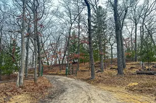 4020 W 9 Mile Rd, Irons, MI 49644 - Photo 1