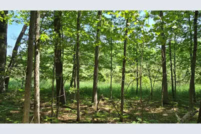 Coates Highway, Brethren, MI 49619 - Photo 1