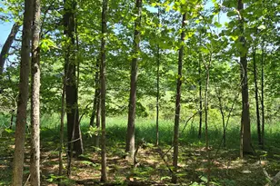 Coates Hwy, Brethren, MI 49619 - Photo 1