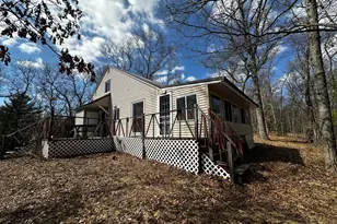 10619 N River Dr Ranch Rd, Irons, MI 49644 - Photo 1