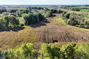 Vl Hoffman Street Lot#Wp001 St, Vandalia, MI 49095 - Photo 1