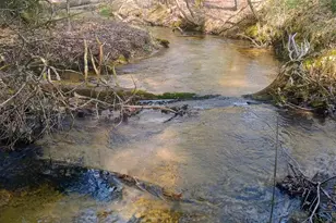 3877 E Creek Wood Dr, Chase, MI 49623 - Photo 1