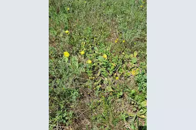 10.05Ac Barberry Avenue, Newaygo, MI 49337 - Photo 1