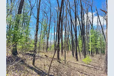 0 W Franklin Street, Bitely, MI 49309 - Photo 1