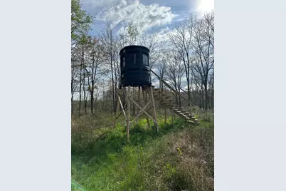 Maple Dale Road, Horton, MI 49246 - Photo 1