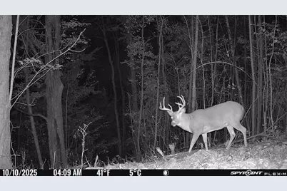 40 Acres +/- 150th Avenue, Leroy, MI 49655 - Photo 1