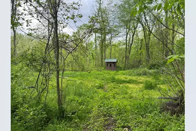 Vl Litchfield Road, Quincy, MI 49082 - Photo 1