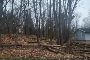 Burt Ave, Jackson, MI 49201 - Photo 1