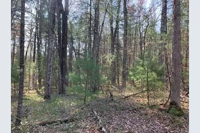 V/L S Merrilleville Road, Baldwin, MI 49304 - Photo 1