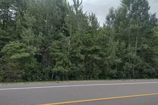0000 Blue Star Hwy, Fennville, MI 49408 - Photo 1