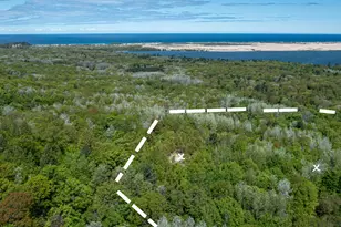 Parcel F-2 N 28th Ave, Mears, MI 49436 - Photo 1