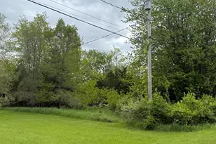Vl Carlysle Dr, Brooklyn, MI 49230 - Photo 1