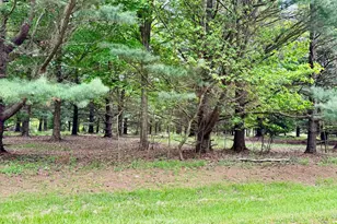 V/L Creekwood, South Haven, MI 49090 - Photo 1