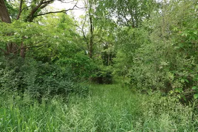 V/L Dotson Drive, Sherwood, MI 49089 - Photo 1