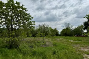 2951 Bonanza Rd, Lake Odessa, MI 48849 - Photo 1