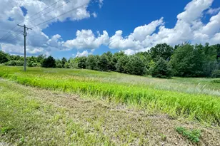 2 Acres E 48th St, Chase, MI 49623 - Photo 1