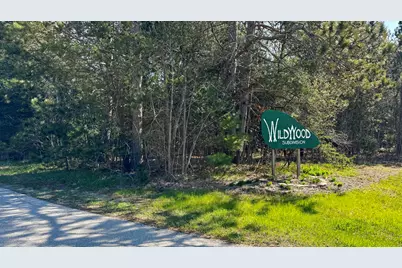 Lot 25 Whitetail Drive, Cadillac, MI 49601 - Photo 1